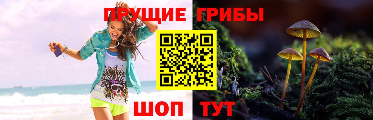 Галлюциногенные грибы GOLDEN TEACHER  Вход с VPN  Обнинск 